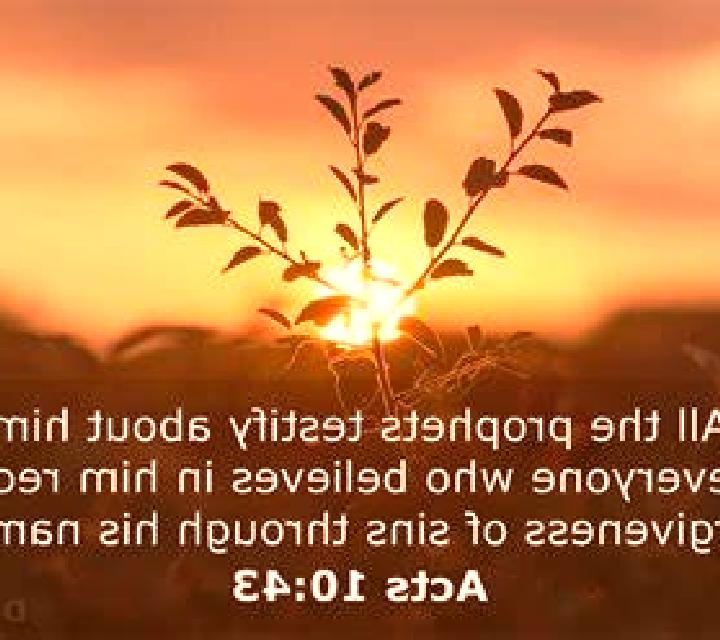 Josefina Vilanova de Sau escort