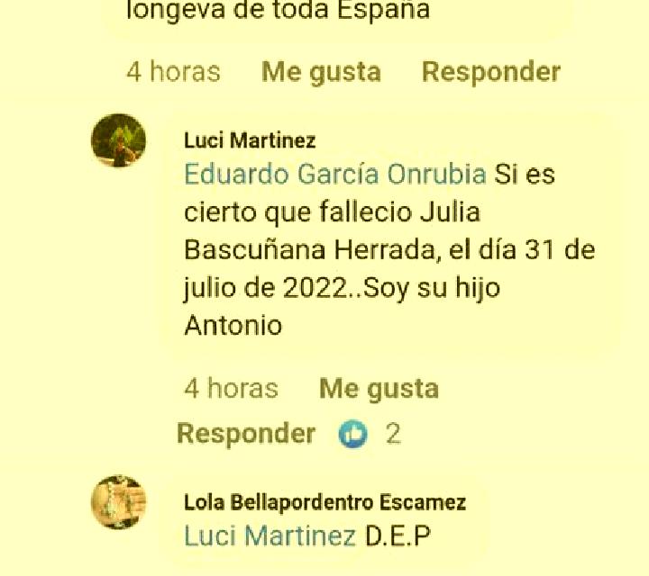 Julia 2 Plasenzuela escort