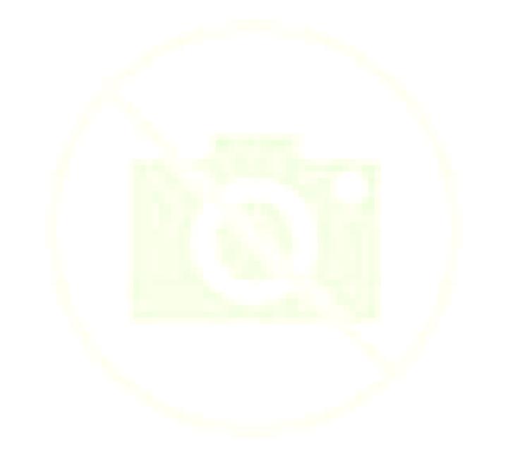Lola 2 Penalver escort