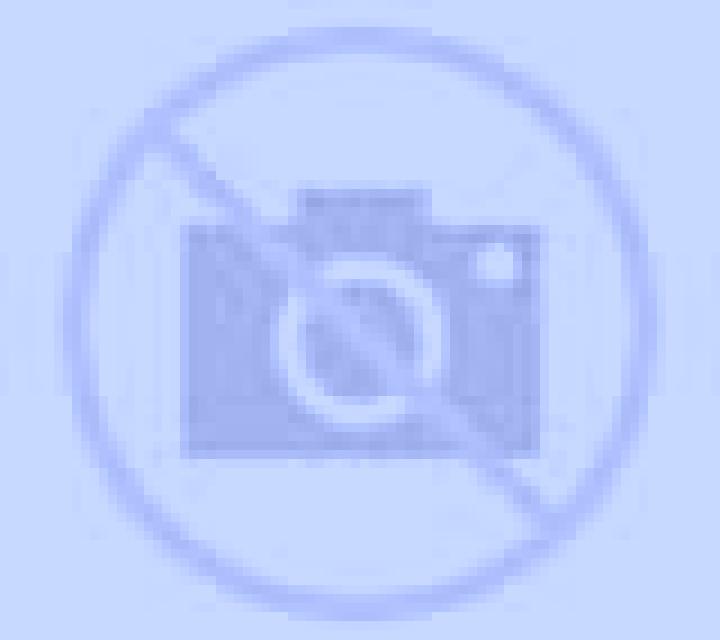 Lola Casa de Campo escort