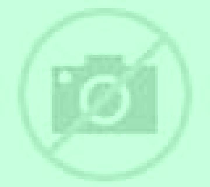 Lola Palomares del Campo escort