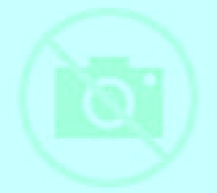 Lorena 3 Alfes escort