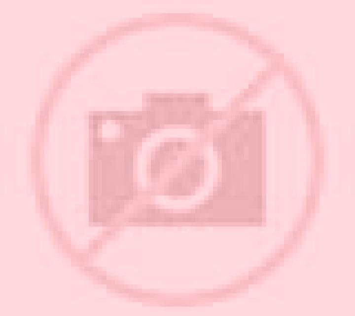 Lorena Castejon escort