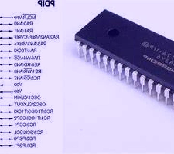 Lorena Darnius escort
