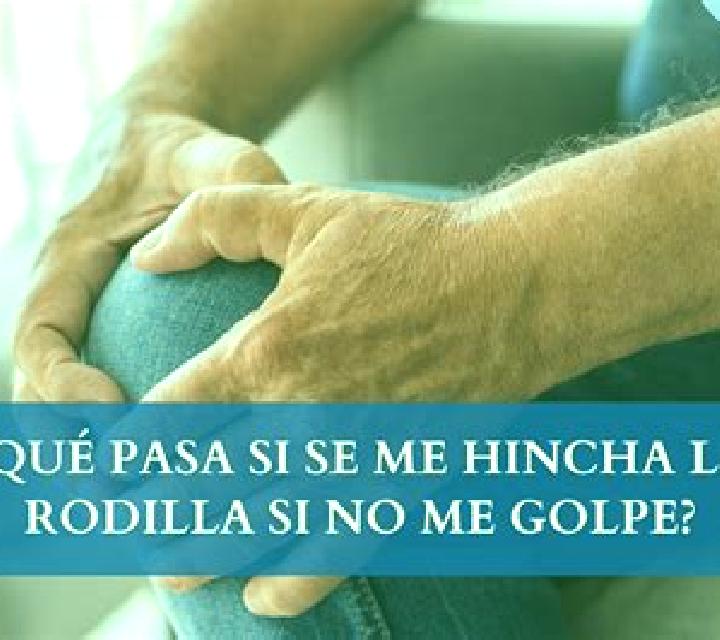 Malena Fresno de Rodilla escort