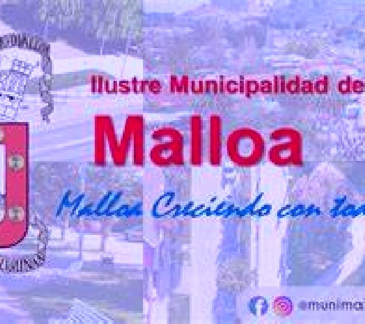 Malena Villamol escort