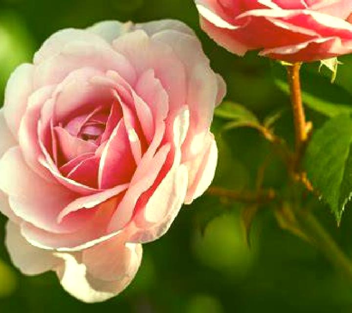 María 2 Arroyo de la Encomienda escort