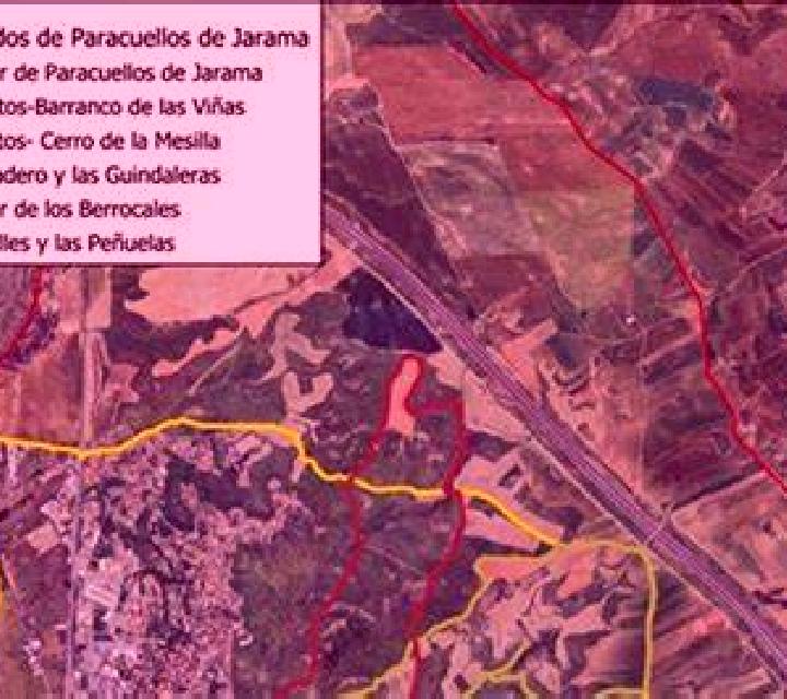María 3 Granja de Rocamora escort