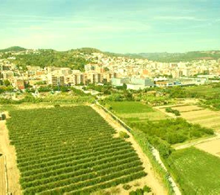 Mariana 2 El Almendro escort