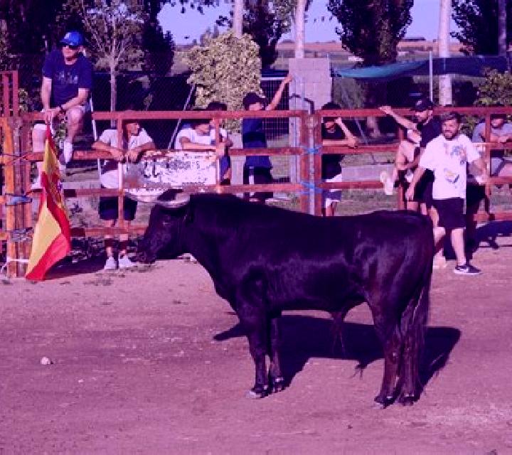 Mariana 3 Pravia escort