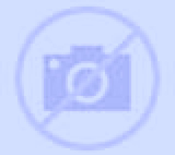 Mariana Almisera escort