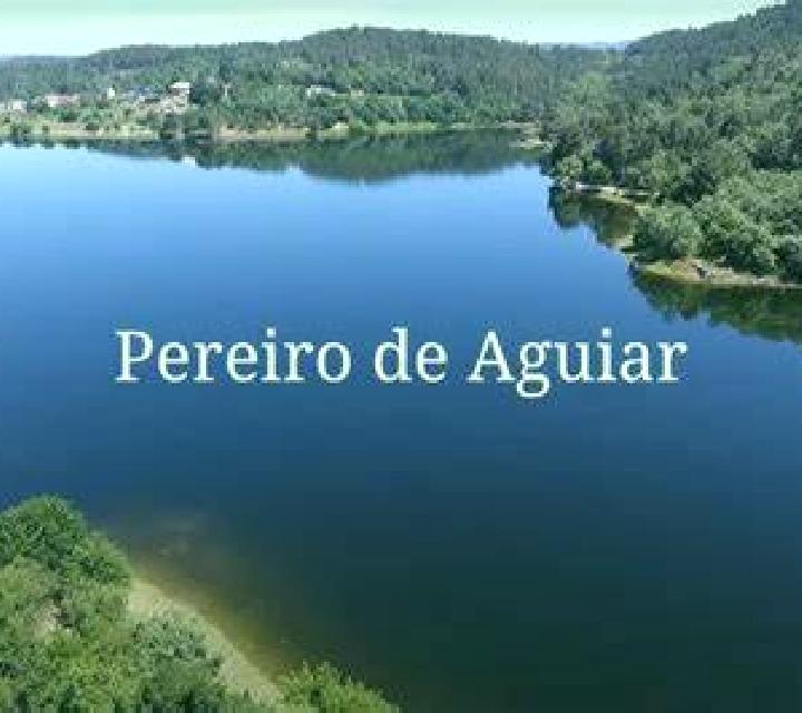 Marta Almonacid del Marquesado escort