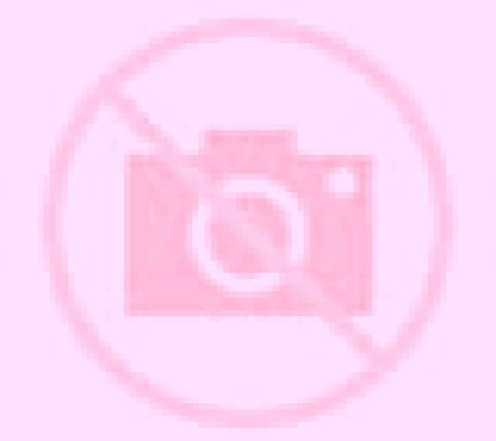 Martina Arnes escort