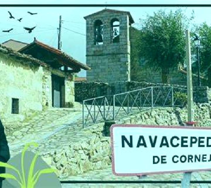 Martina Navacepedilla de Corneja escort