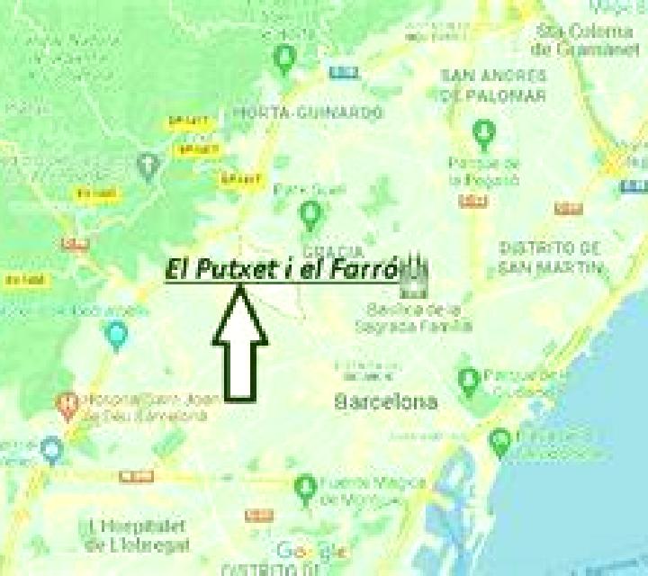 Martina Olvega escort