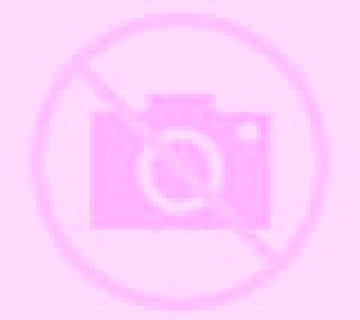 Nadia Barcones escort