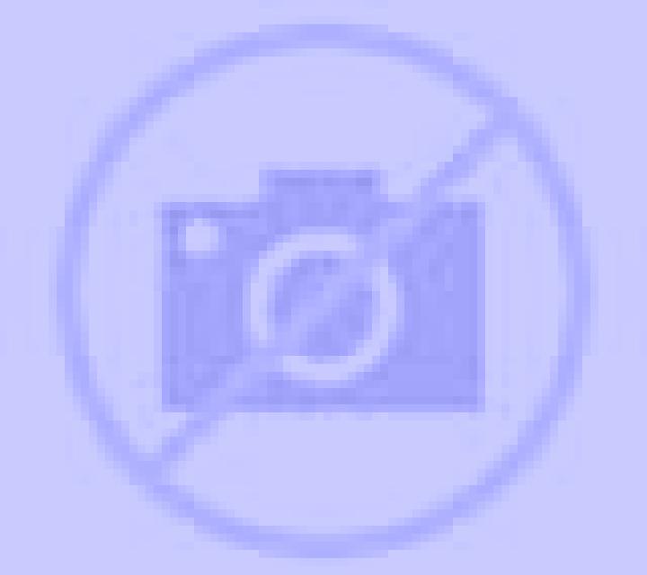 Nadia Zorita escort