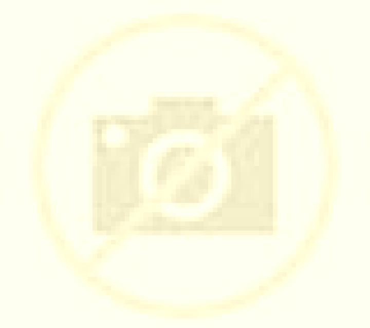 Natalia 2 Bronchales escort