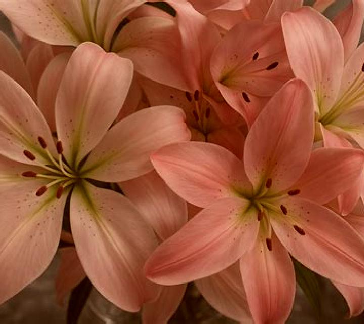 Noa 3 Esquivias escort