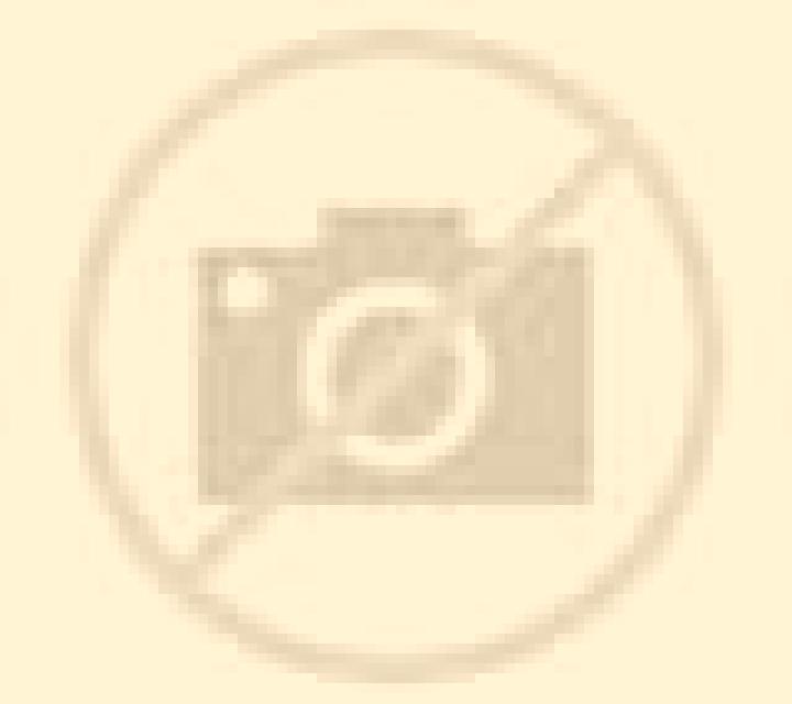 Noelia 3 Barcarrota escort