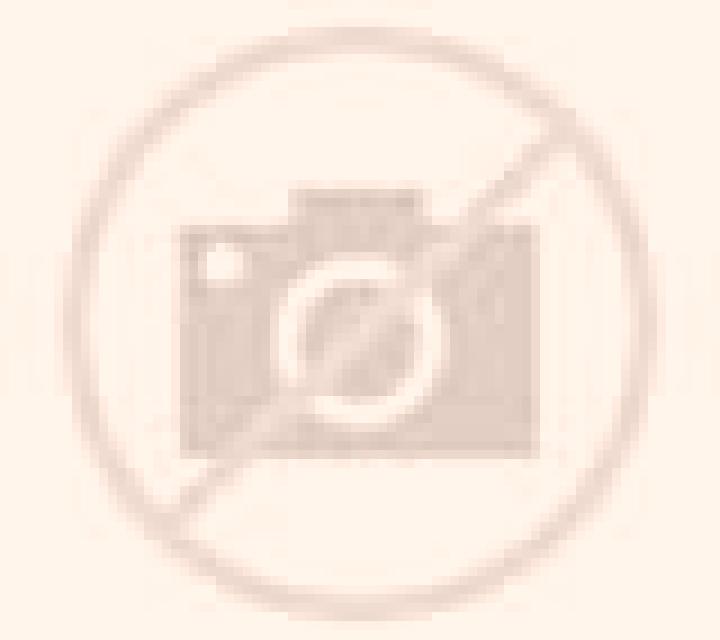 Noelia Querol escort