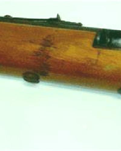 Nora 3 Magan escort
