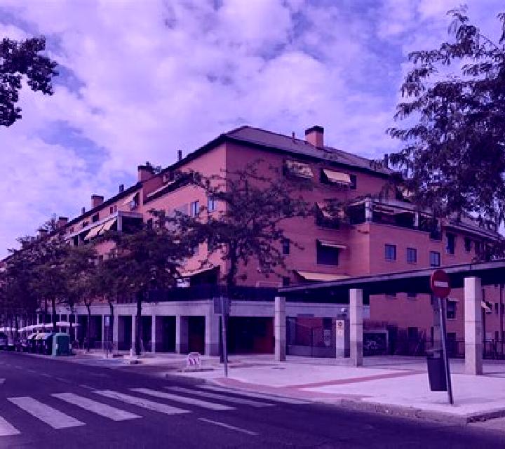 Nora Basconcillos del Tozo escort