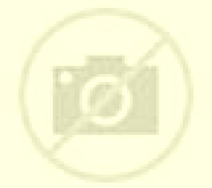 Nora Carrizosa escort