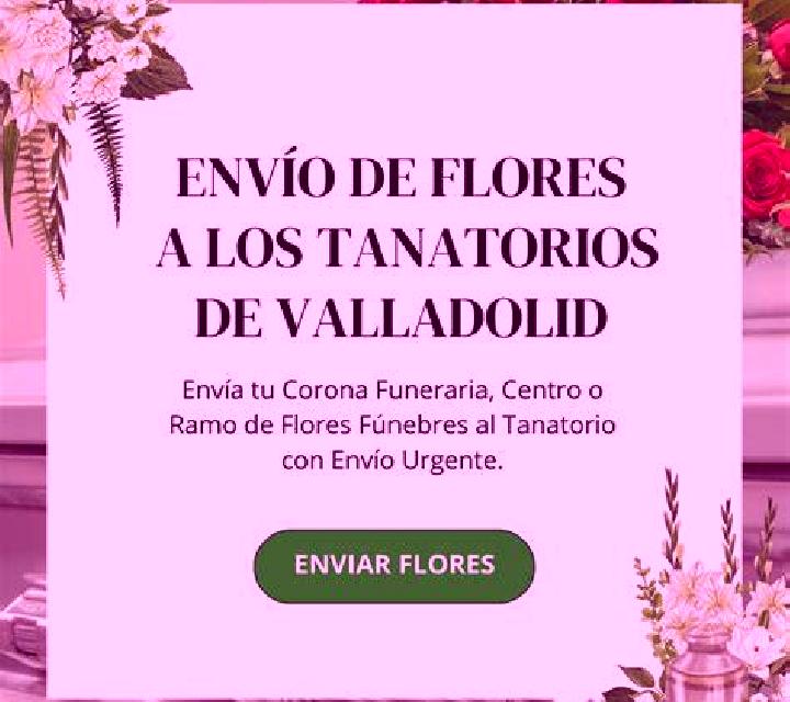 Nora Villarmentero de Esgueva escort