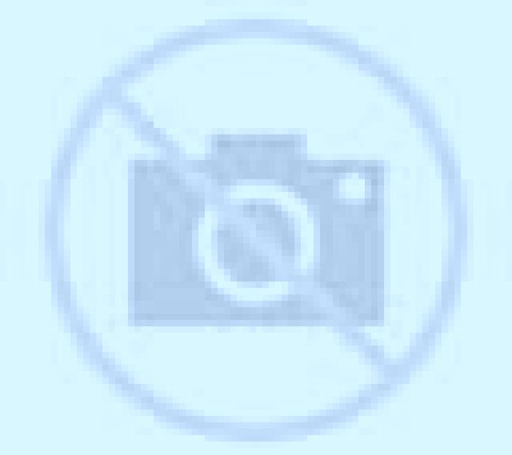 Olivia 3 Media Legua escort