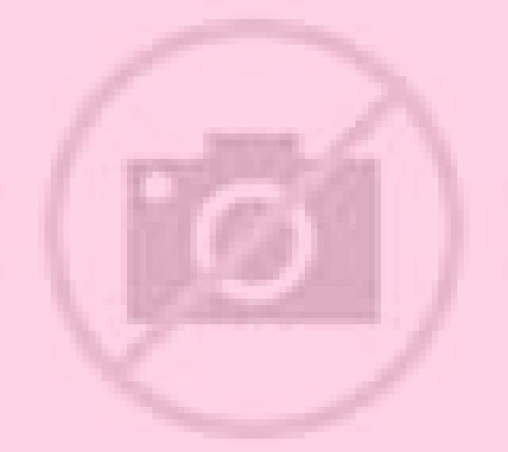 Olivia Torre del Campo escort