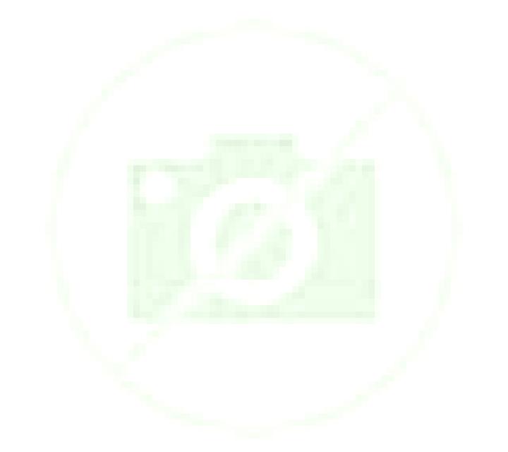 Paloma Antella escort