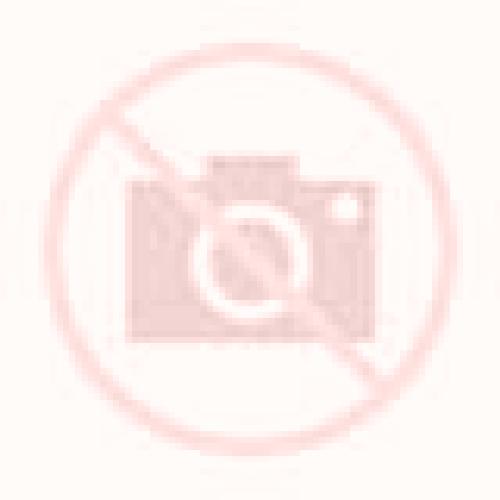 Patricia Cillan escort