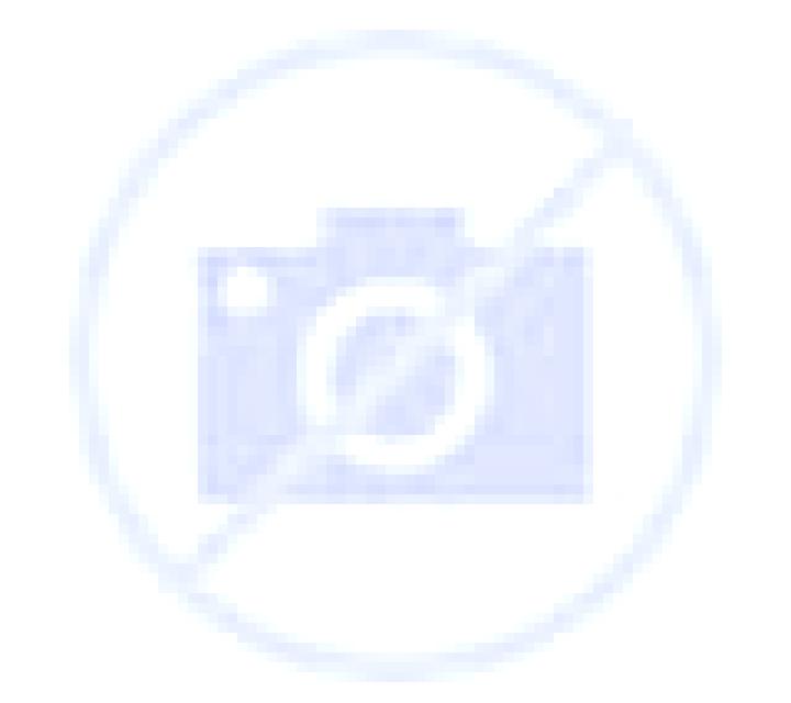 Patricia Irueste escort