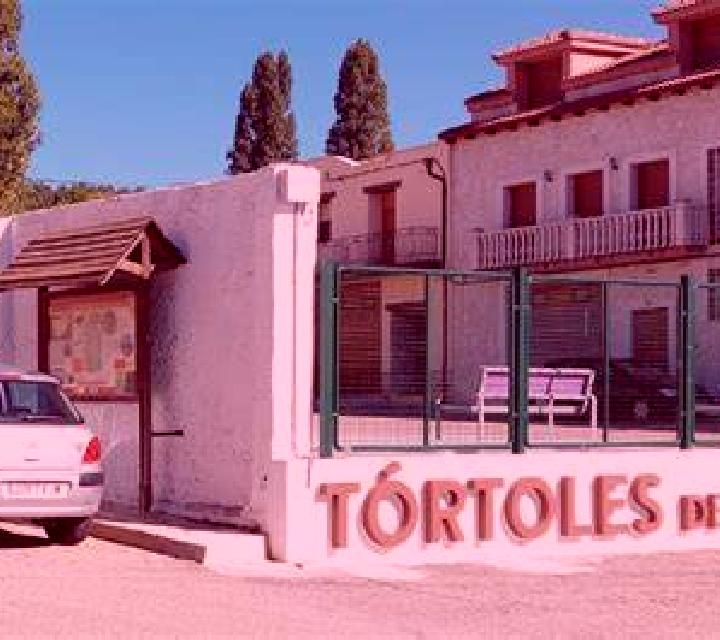 Patricia Torremocha de Jarama escort