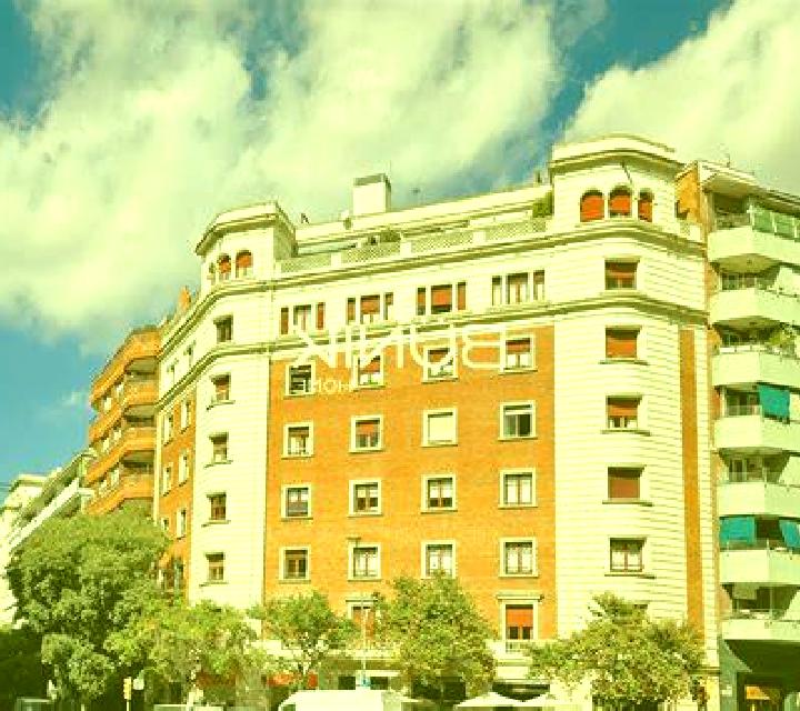 Regina 3 Alcoy escort