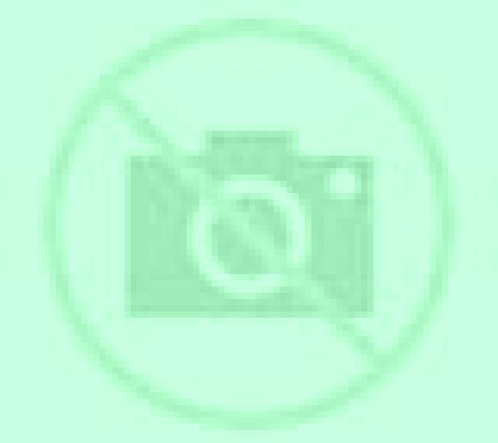 Regina Villafranca del Cid escort
