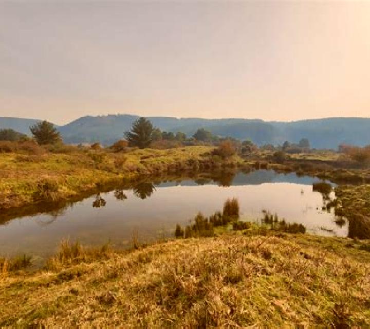 Renata 3 Alcolea escort