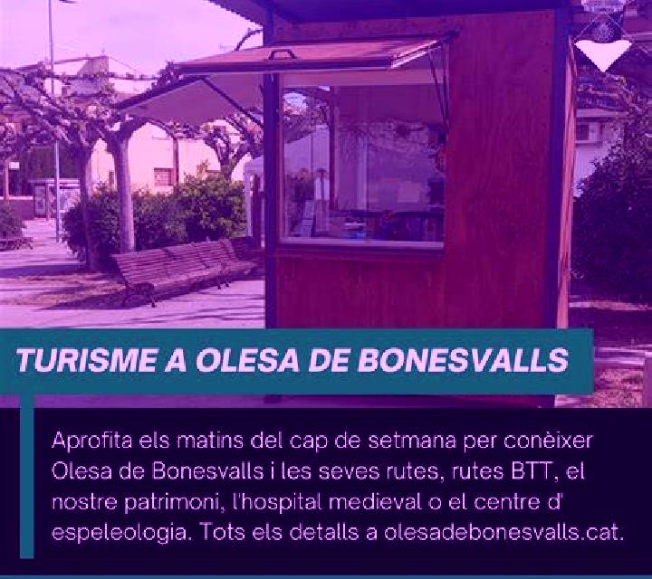 Renata 3 Orbita escort