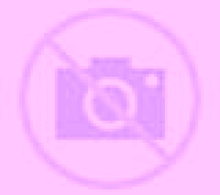 Renata 3 Tollos escort
