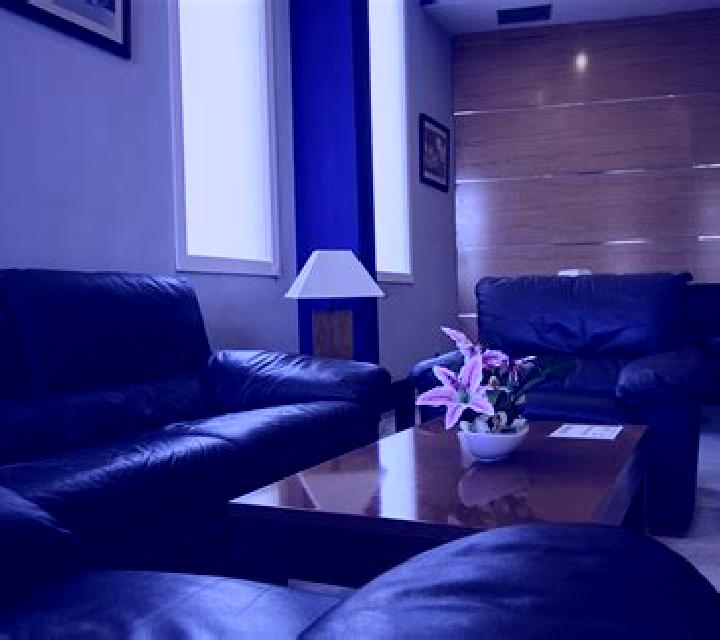 Renata Ribafrecha escort