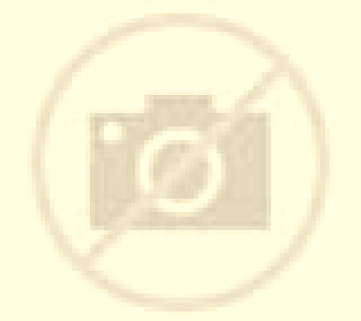 Renata Santa Ines escort