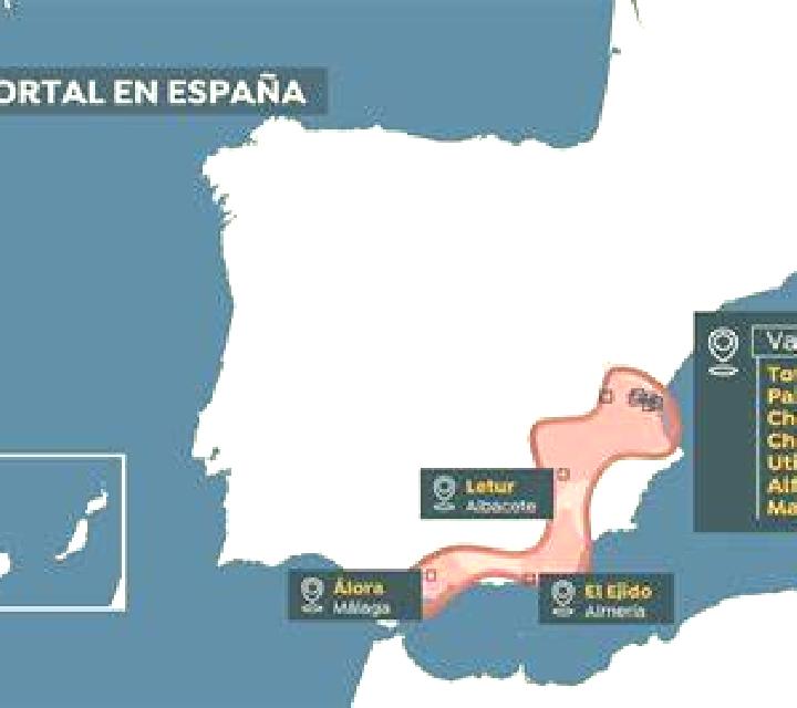 Rocío Ferreries escort