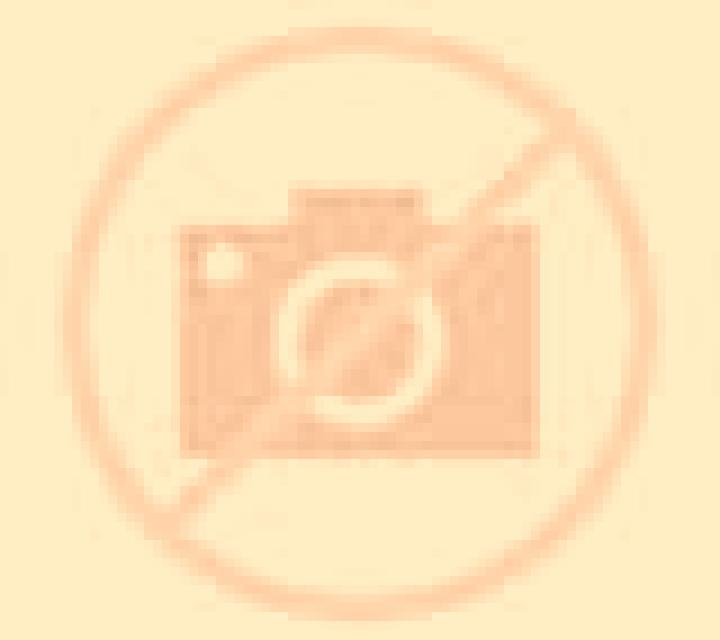 Rosa 2 Monroy escort