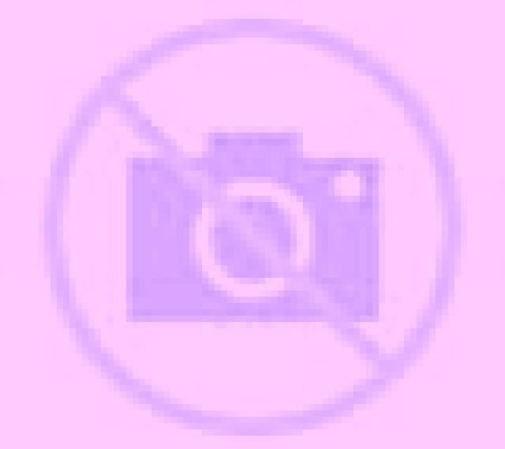 Rosa 3 Castellfort escort