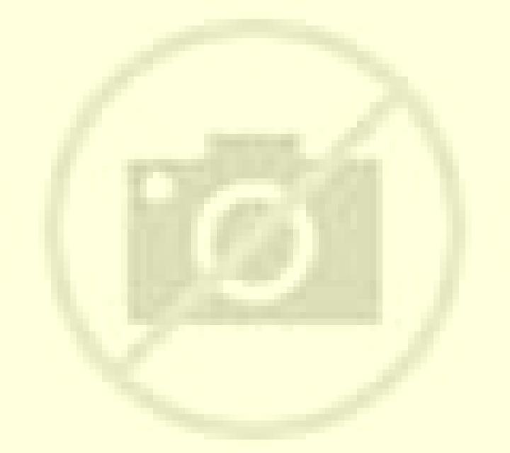 Salma 3 Arandilla del Arroyo escort