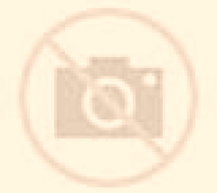 Salma Alfes escort