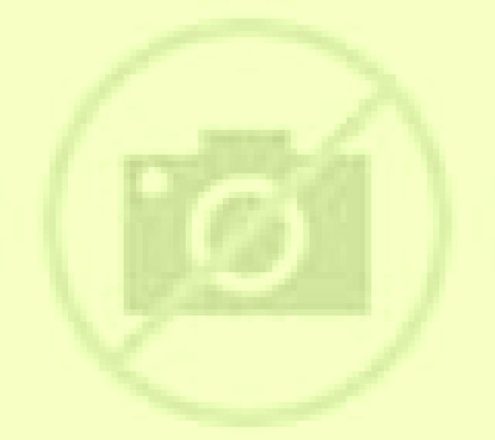Selene 2 Terrateig escort