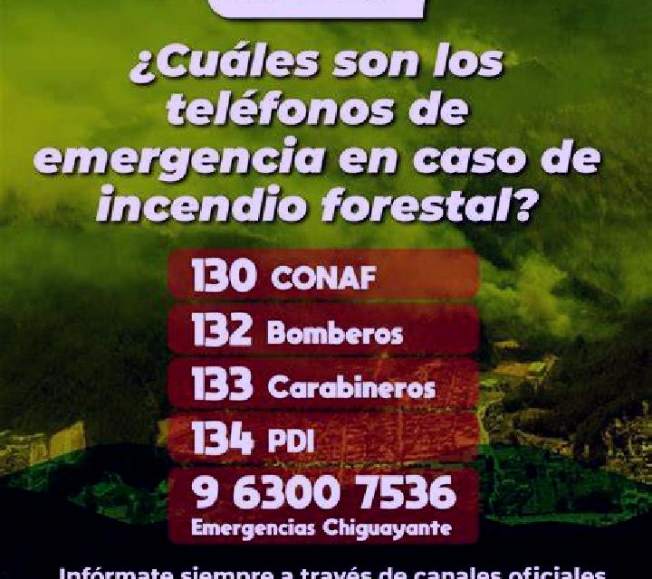 Selene 3 Palacios de la Valduerna escort