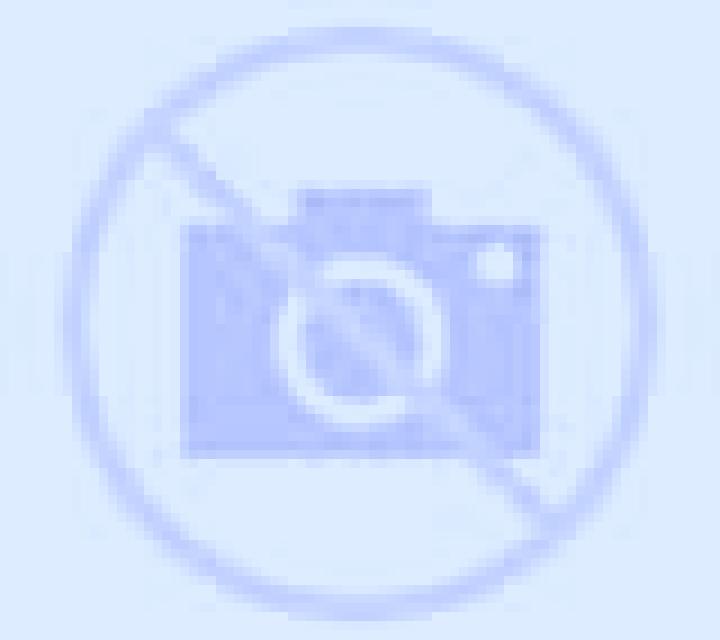 Selene Carcer escort